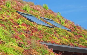 Leven Links living roof systems