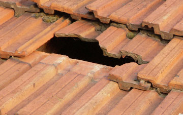 roof repair Leven Links, Fife