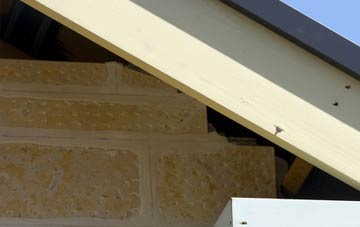 soffit repair Leven Links